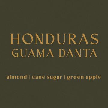 Honduras Reserva Guama Danta - Organic - Inheritance Coffee