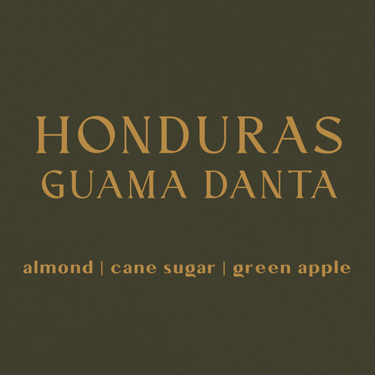 Honduras Reserva Guama Danta - Organic - Inheritance Coffee