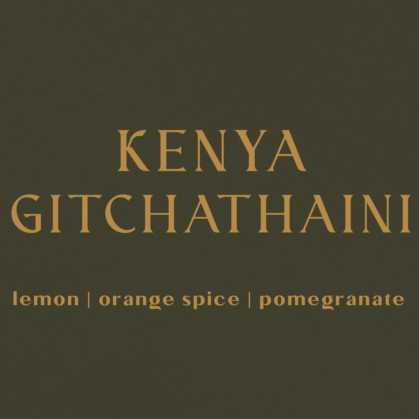 Kenya Gichathaini - Inheritance Coffee
