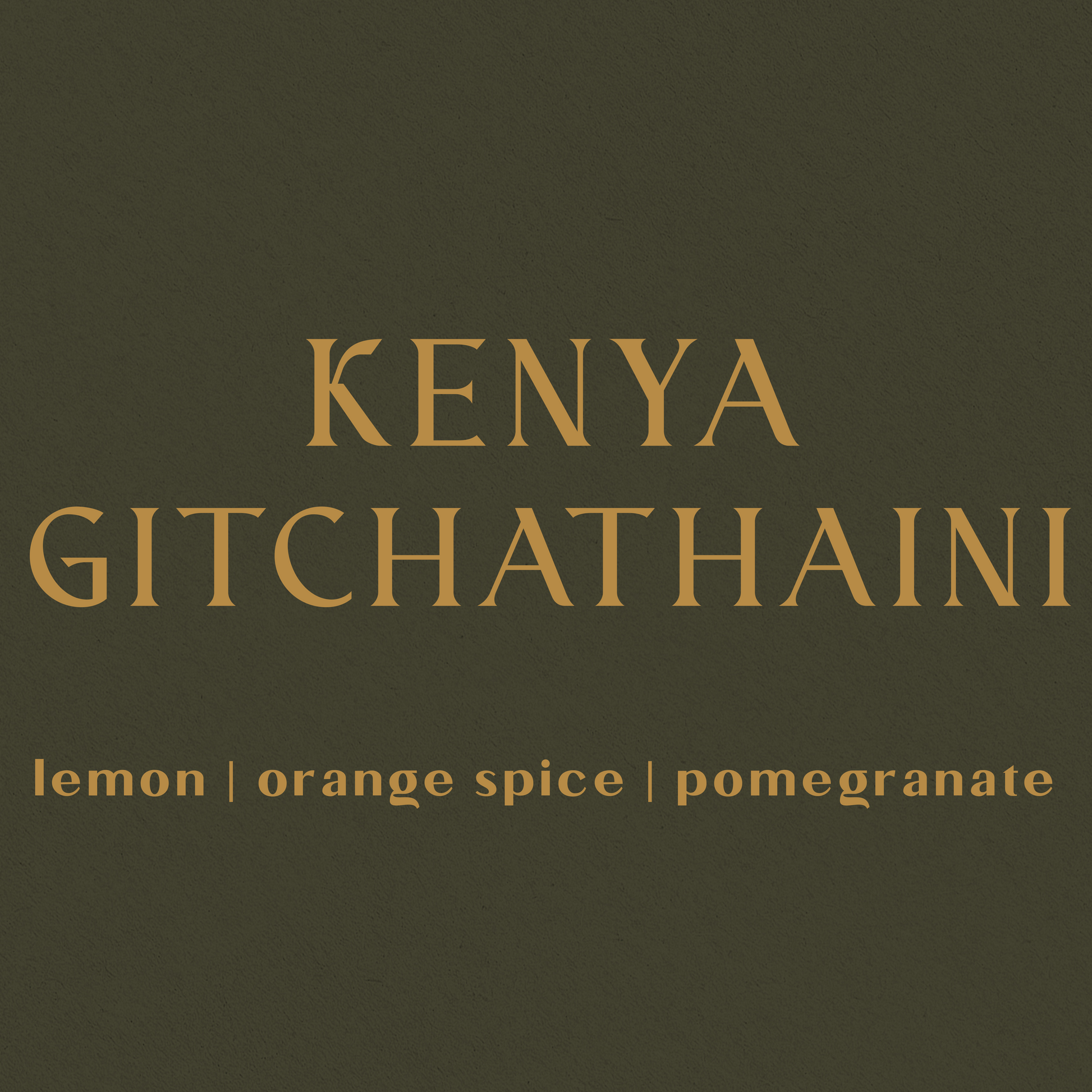 Kenya Gichathaini - Inheritance Coffee