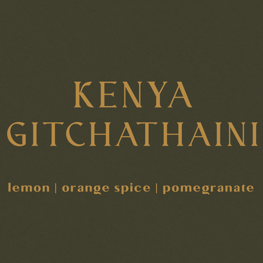 Kenya Gichathaini - Inheritance Coffee