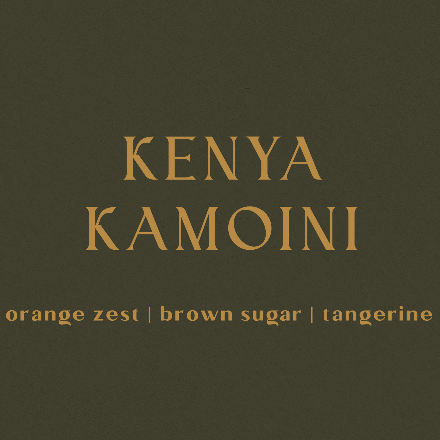 Kenya Kamoini - Inheritance Coffee