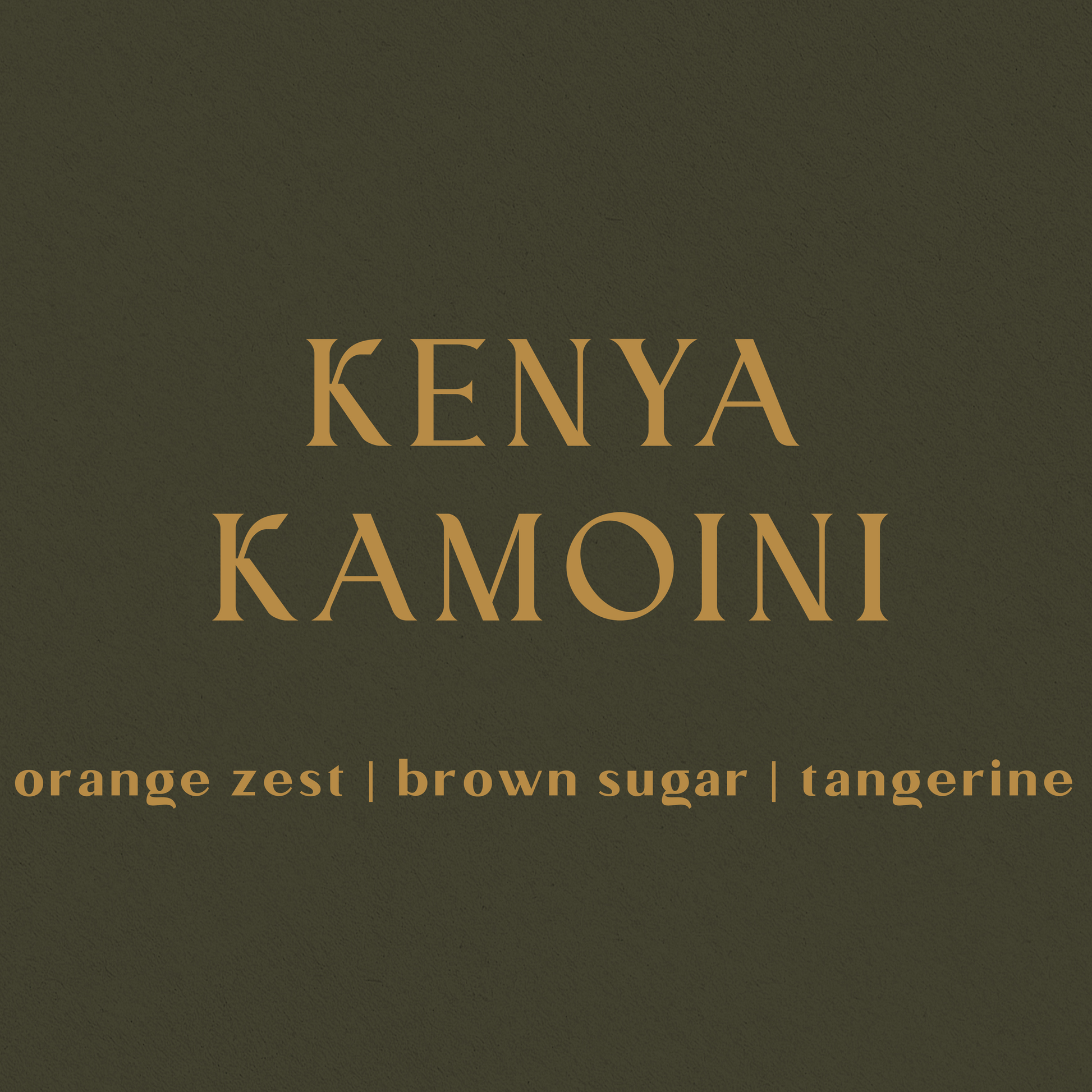 Kenya Kamoini - Inheritance Coffee