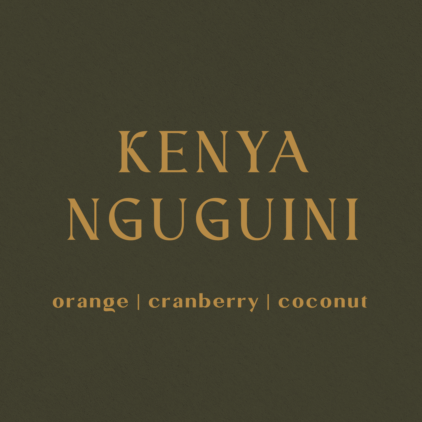 Kenya Ngugu-ini - Inheritance Coffee