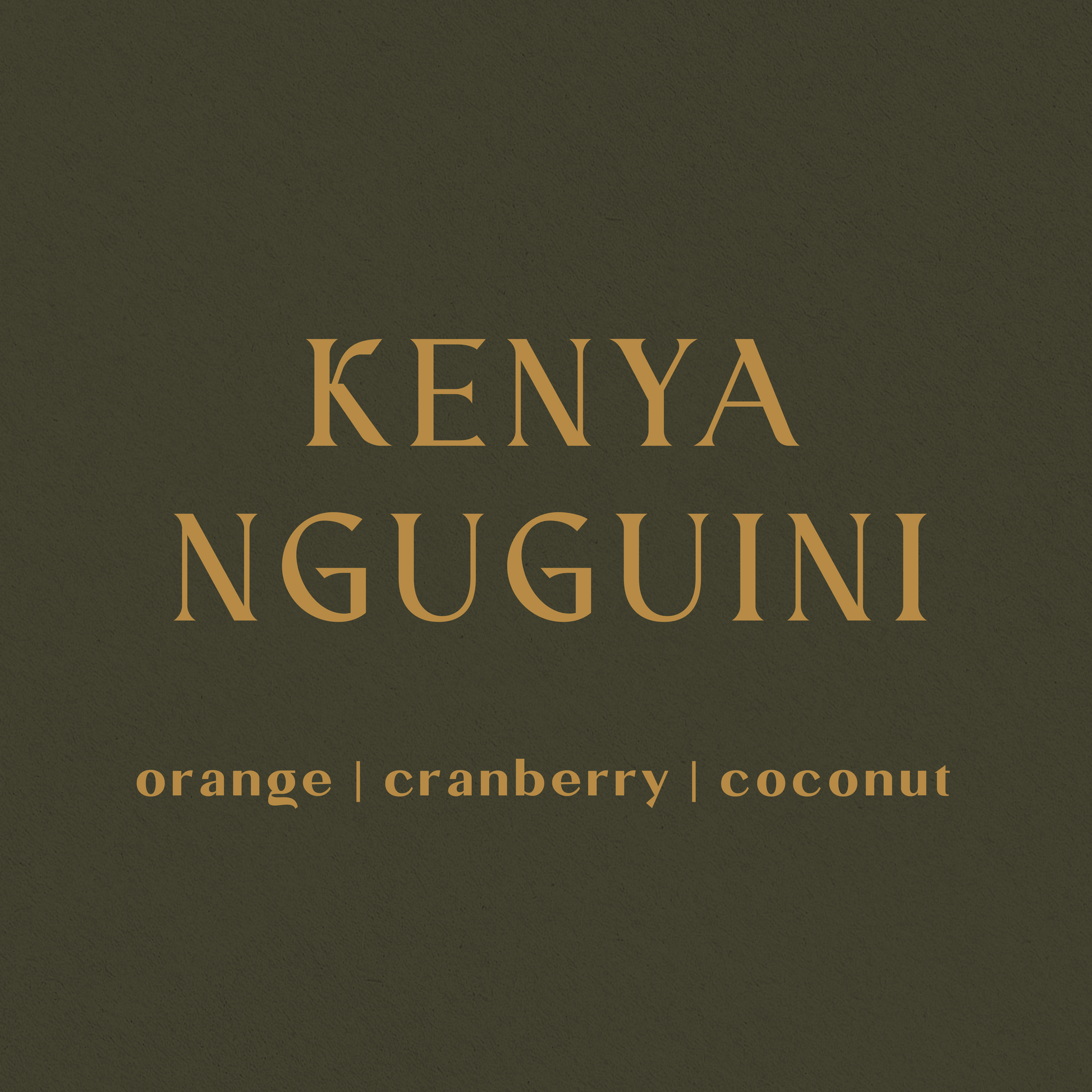 Kenya Ngugu-ini - Inheritance Coffee