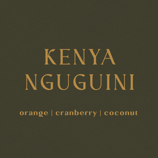 Kenya Ngugu-ini - Inheritance Coffee