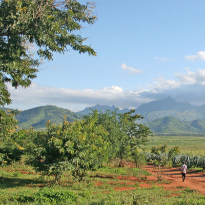 Green valley and mountains in Ruvuma, Tanzania, sourced by Inheritance Coffee, Pensacola, FL roaster for cafes and home brewers